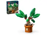 Mandrake model with box