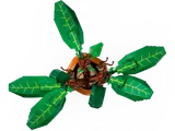 Top-down Mandrake