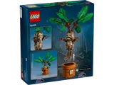 Mandrake box back