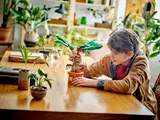 Child playing with Mandrake