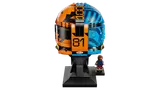 Rear view of F1 helmet.