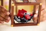 Red crystal cluster detail.