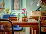 Moana's Flowerpot as a room display.