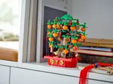 Money Tree on a shelf.