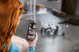 AR experience with Rover.
