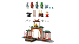 Components and minifigures of the Ninjago temple set.