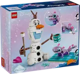 Back of set box features