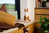 Orange Cat image 13