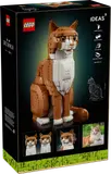 Orange Cat image 15