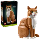 Orange Cat image 2