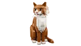 Orange Cat image 4