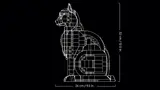 Orange Cat image 7