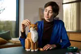 Orange Cat image 8