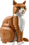 Orange Cat image 1