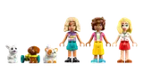 Lineup of all minifigures and pets included in the set.