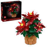 Poinsettia image 2