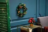Poinsettia image 4