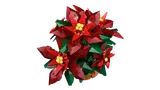 Poinsettia image 6