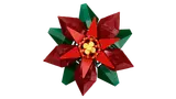Poinsettia image 7