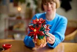 Poinsettia image 8