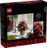 Poinsettia image 9