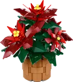 Poinsettia image 1