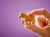 Hand holding LEGO pony.