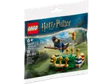 Front of LEGO Harry Potter 30651 polybag.