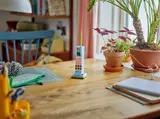 Candybar phone on a desk with plants.