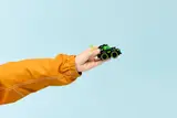 Hand holding LEGO Gaming Race Car.