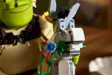Donkey's expressive face.