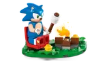 Sonic by campfire with marshmallow.