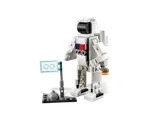 Astronaut and flag build.