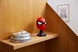 Spider-Man's Mask image 8