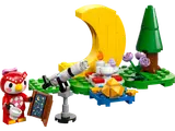 Celeste's Animal Crossing Stargazing setup.