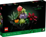 Succulents image 2