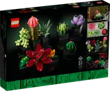 Succulents image 9