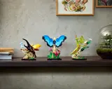 The Insect Collection image 10