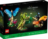 The Insect Collection image 2