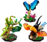 The Insect Collection image 1