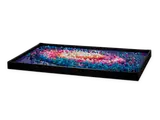 The Milky Way Galaxy image 4