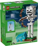 Back of Skeleton box.
