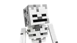 Skeleton head close-up.