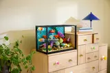 Tropical Aquarium image 11