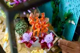 Tropical Aquarium image 12