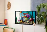 Tropical Aquarium image 17