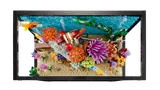 Tropical Aquarium image 3