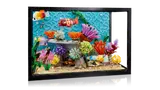 Tropical Aquarium image 5