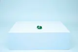 LEGO frog display.