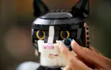 Swapping eyes on Tuxedo Cat.